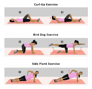 exercices pour le dos
